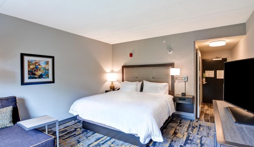 Room, 1 King Bed, Accessible, Non Smoking (mob/hearing acc w/ roll-in shower)