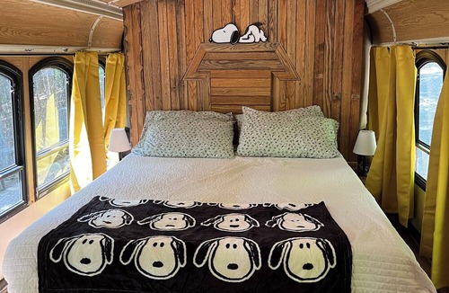 Middle Grove Apartment | Dog friendly trolley with Peanuts Theme