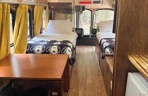 Middle Grove Apartment | Dog friendly trolley with Peanuts Theme