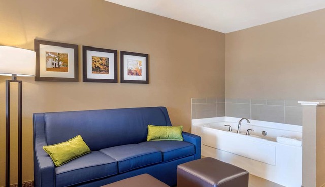 Comfort Inn & Suites Schenectady - Scotia