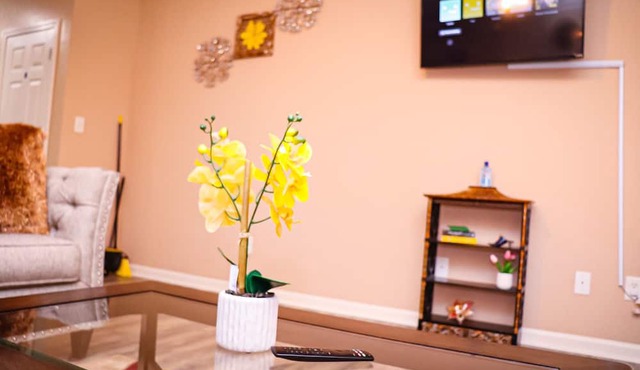 Paying pet friendly Luxury apartment with pool and gym